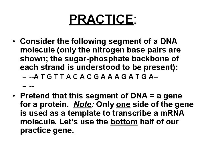 PRACTICE: • Consider the following segment of a DNA molecule (only the nitrogen base