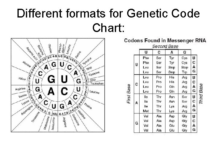 Different formats for Genetic Code Chart: 