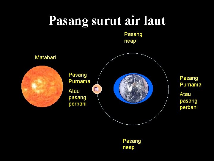 Pasang surut air laut Pasang neap Matahari Pasang Purnama Atau pasang perbani Pasang Purnama