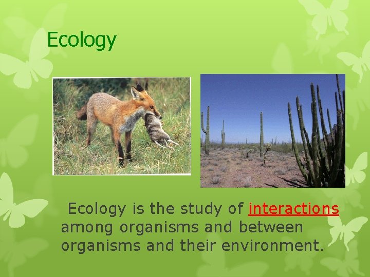 Ecology is the study of interactions among organisms and between organisms and their environment.