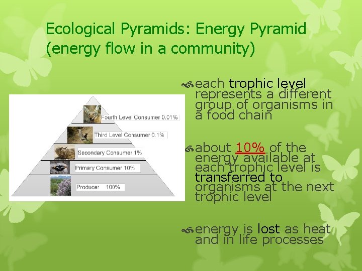 Ecological Pyramids: Energy Pyramid (energy flow in a community) each trophic level represents a