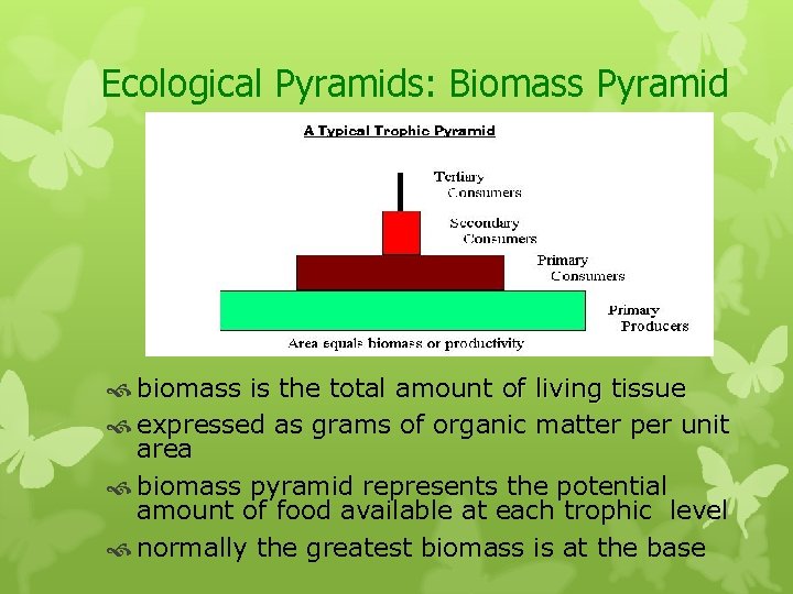 Ecological Pyramids: Biomass Pyramid biomass is the total amount of living tissue expressed as