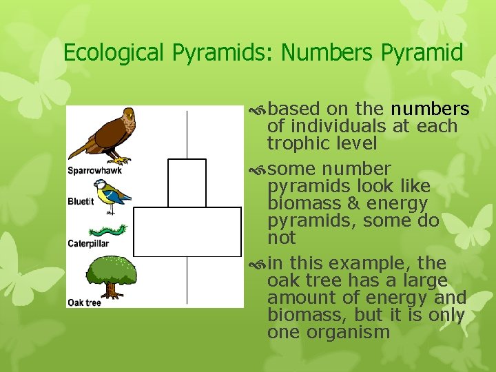 Ecological Pyramids: Numbers Pyramid based on the numbers of individuals at each trophic level