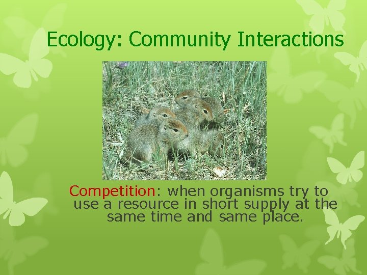 Ecology: Community Interactions Competition: when organisms try to use a resource in short supply