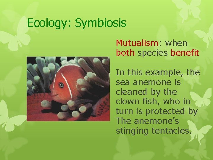 Ecology: Symbiosis Mutualism: when both species benefit In this example, the sea anemone is