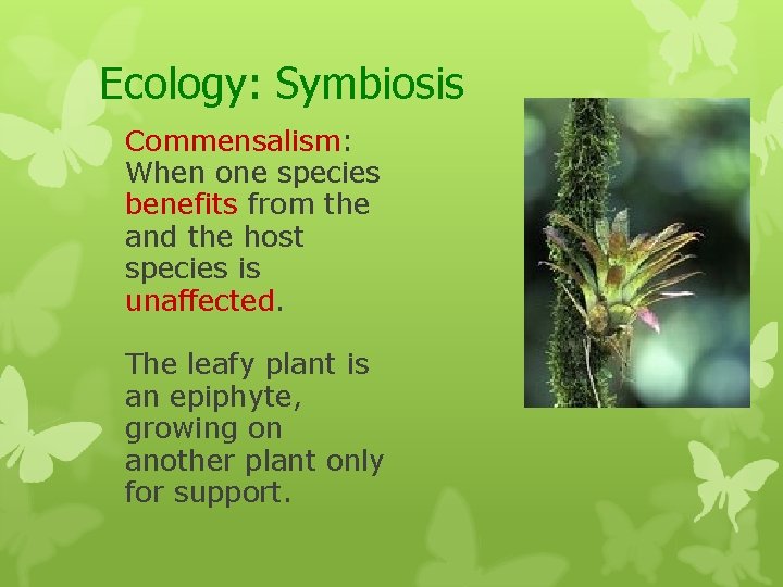 Ecology: Symbiosis Commensalism: When one species benefits from the and the host species is