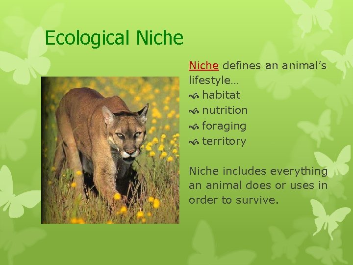 Ecological Niche defines an animal’s lifestyle… habitat nutrition foraging territory Niche includes everything an
