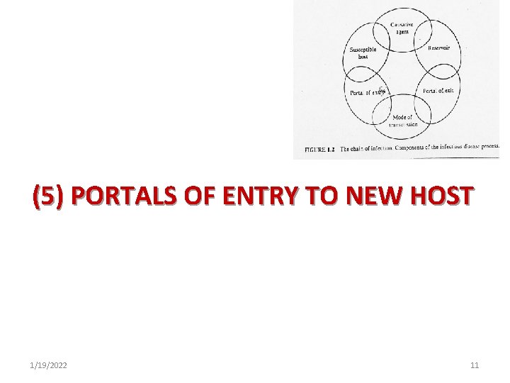 (5) PORTALS OF ENTRY TO NEW HOST 1/19/2022 11 (5) PORTALS OF ENTRY TO NEW HOST 1/19/2022 11