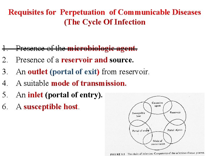 Requisites for Perpetuation of Communicable Diseases (The Cycle Of Infection 1. 2. 3. 4. Requisites for Perpetuation of Communicable Diseases (The Cycle Of Infection 1. 2. 3. 4.