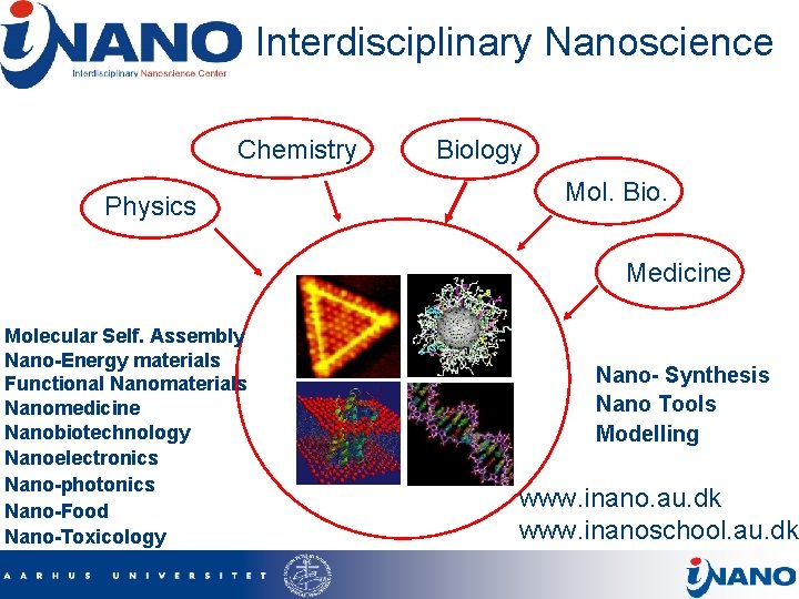 Interdisciplinary Nanoscience Chemistry Physics Biology Mol. Bio. Medicine Molecular Self. Assembly Nano-Energy materials Functional