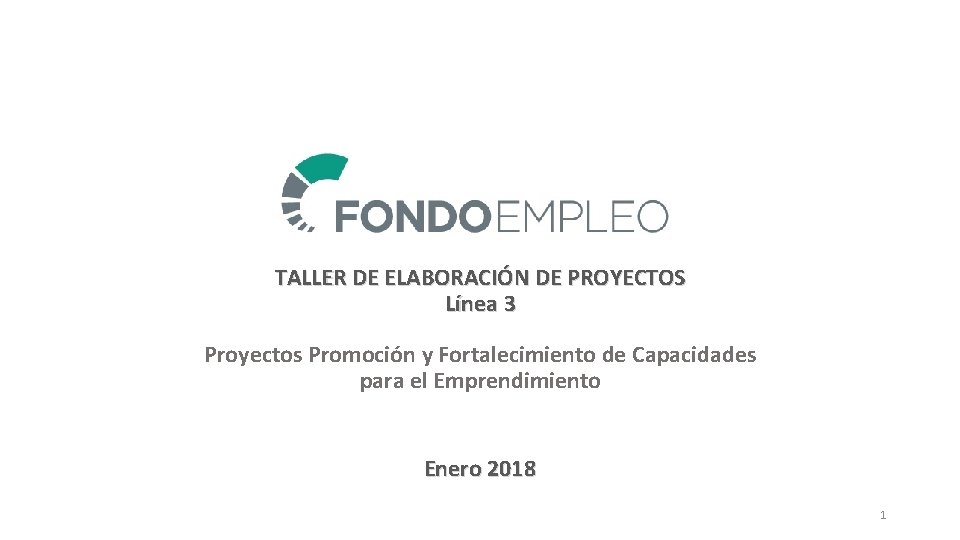 TALLER DE ELABORACIÓN DE PROYECTOS Línea 3 Proyectos Promoción y Fortalecimiento de Capacidades para