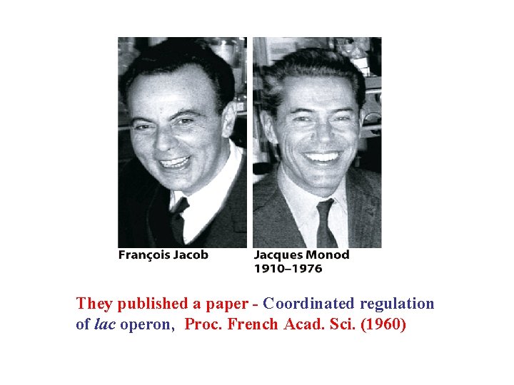 They published a paper - Coordinated regulation of lac operon, Proc. French Acad. Sci.