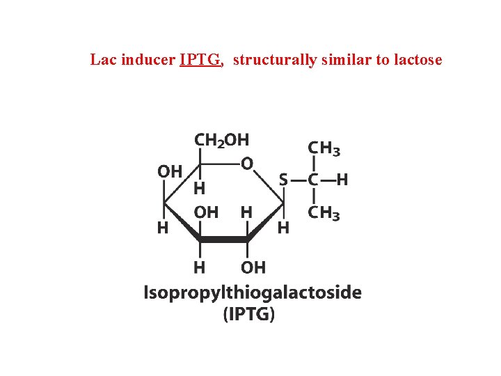 Lac inducer IPTG, structurally similar to lactose 