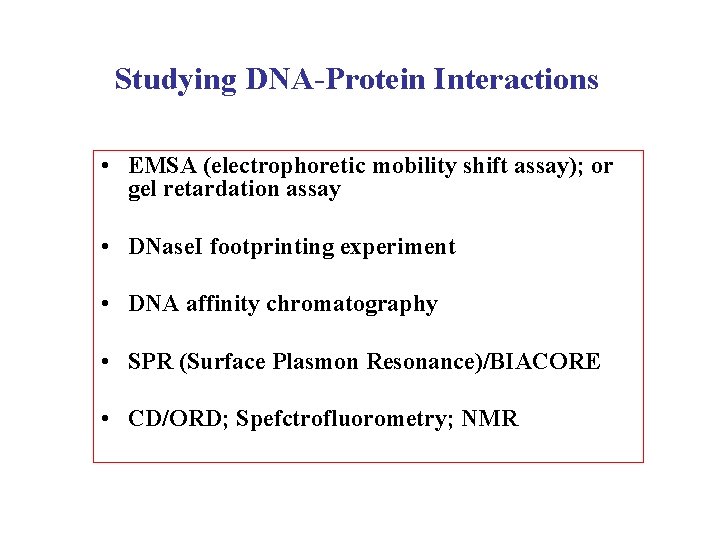 Studying DNA-Protein Interactions • EMSA (electrophoretic mobility shift assay); or gel retardation assay •