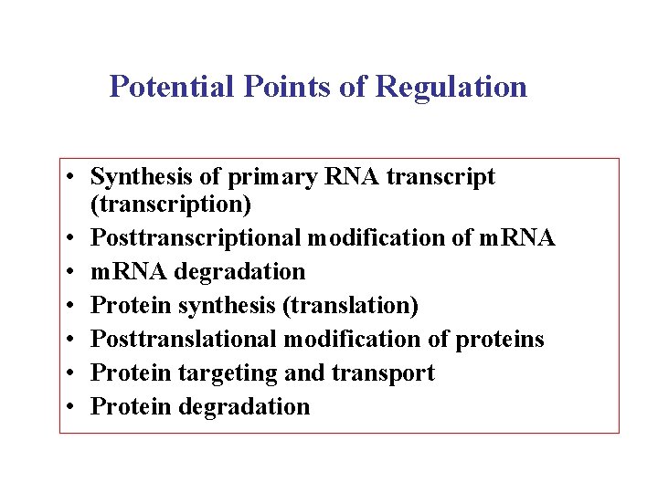Potential Points of Regulation • Synthesis of primary RNA transcript (transcription) • Posttranscriptional modification