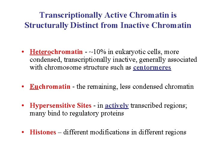 Transcriptionally Active Chromatin is Structurally Distinct from Inactive Chromatin • Heterochromatin - ~10% in