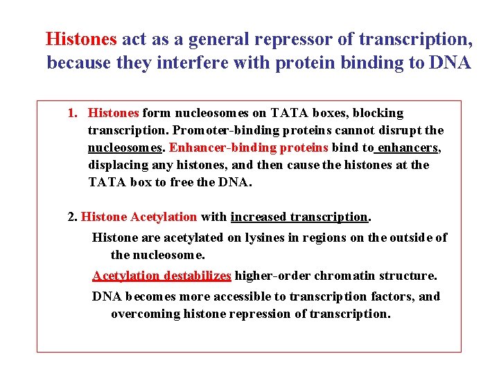 Histones act as a general repressor of transcription, because they interfere with protein binding