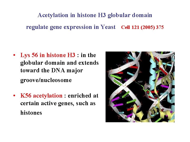 Acetylation in histone H 3 globular domain regulate gene expression in Yeast Cell 121