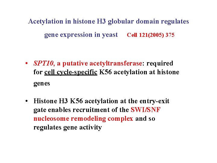 Acetylation in histone H 3 globular domain regulates gene expression in yeast Cell 121(2005)