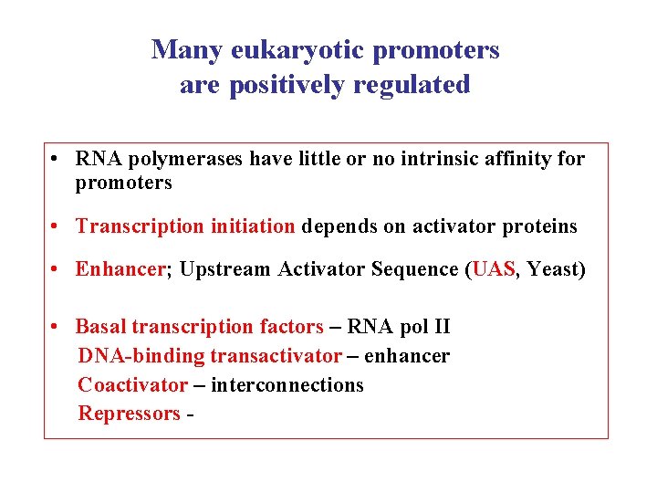 Many eukaryotic promoters are positively regulated • RNA polymerases have little or no intrinsic