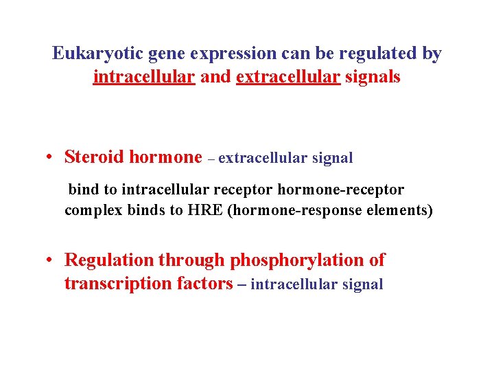 Eukaryotic gene expression can be regulated by intracellular and extracellular signals • Steroid hormone