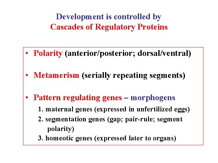 Development is controlled by Cascades of Regulatory Proteins • Polarity (anterior/posterior; dorsal/ventral) • Metamerism