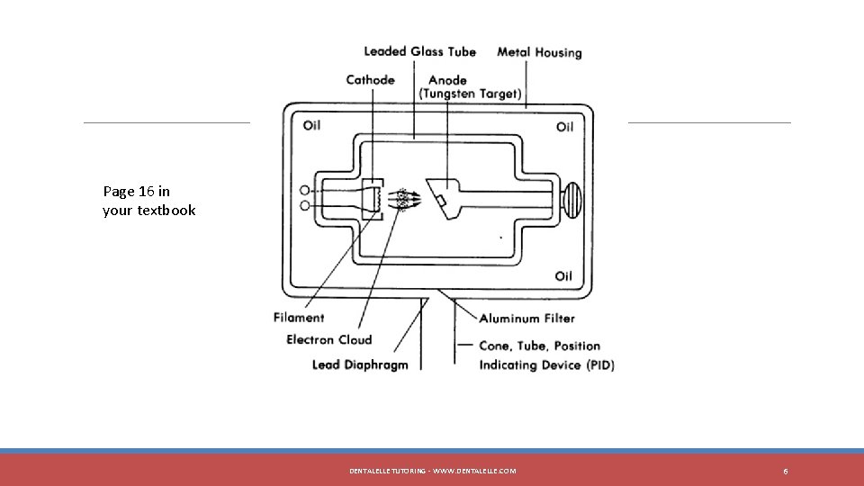 Page 16 in your textbook DENTALELLE TUTORING - WWW. DENTALELLE. COM 6 