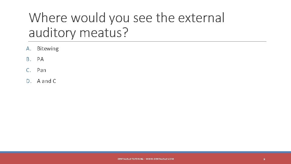 Where would you see the external auditory meatus? A. Bitewing B. PA C. Pan