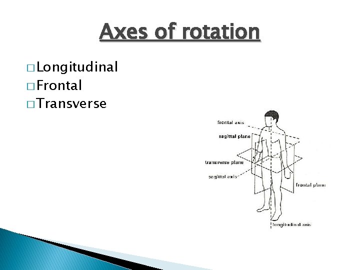 Axes of rotation � Longitudinal � Frontal � Transverse 