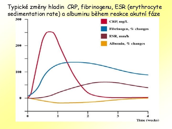 Typické změny hladin CRP, fibrinogenu, ESR (erythrocyte sedimentation rate) a albuminu během reakce akutní