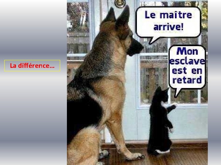 La différence… 