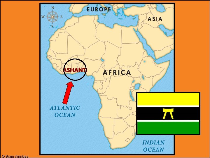 © Brain Wrinkles © Brain Wrinkles