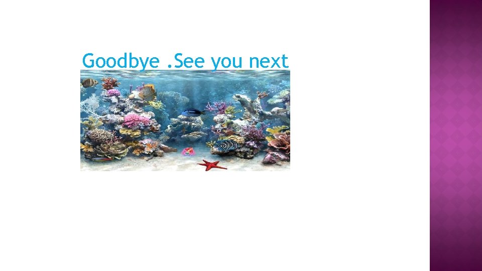 Goodbye. See you next 