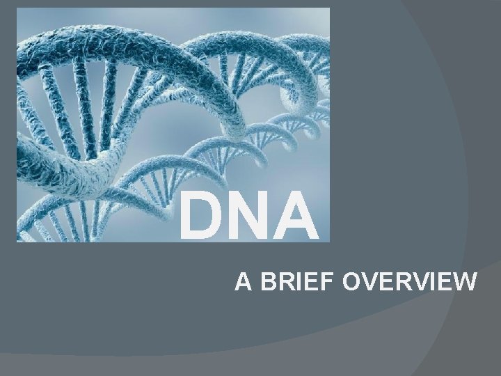 DNA A BRIEF OVERVIEW 