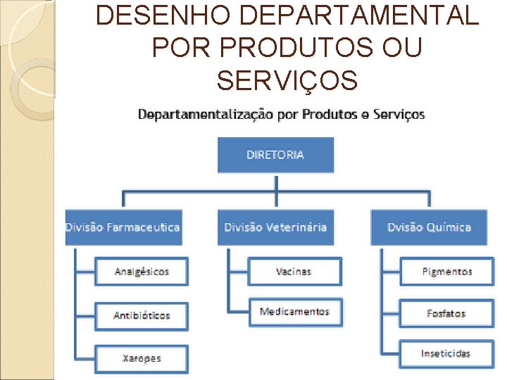 DESENHO DEPARTAMENTAL POR PRODUTOS OU SERVIÇOS 