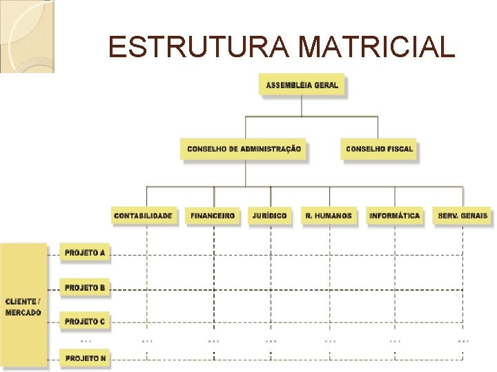 ESTRUTURA MATRICIAL 