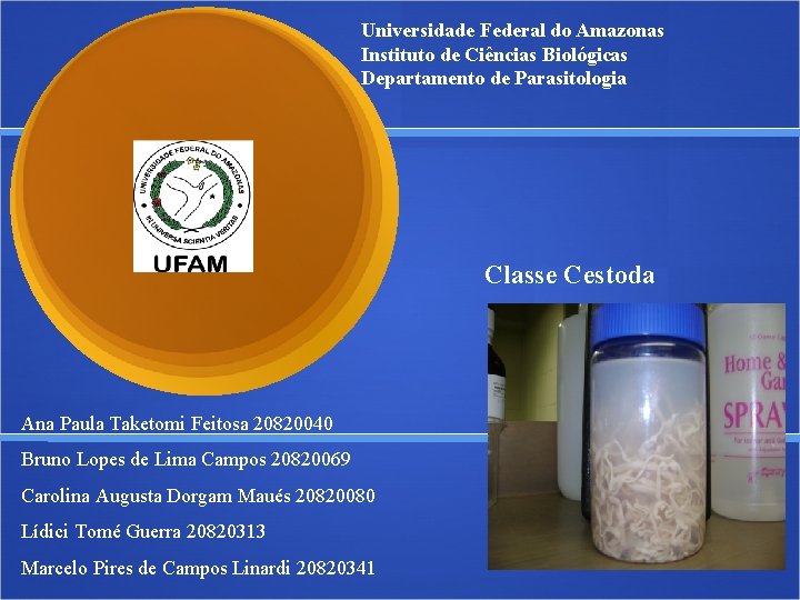 Universidade Federal do Amazonas Instituto de Ciências Biológicas Departamento de Parasitologia Classe Cestoda Ana