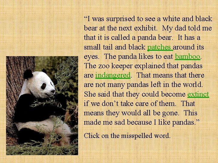 “I was surprised to see a white and black bear at the next exhibit.