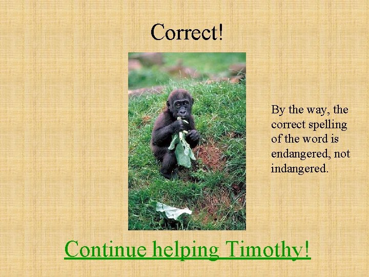 Correct! By the way, the correct spelling of the word is endangered, not indangered.