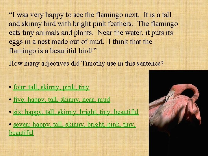 “I was very happy to see the flamingo next. It is a tall and