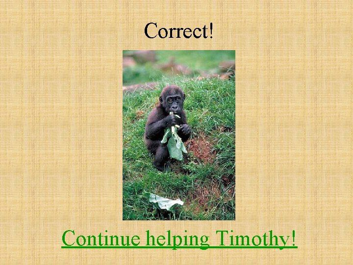 Correct! Continue helping Timothy! 