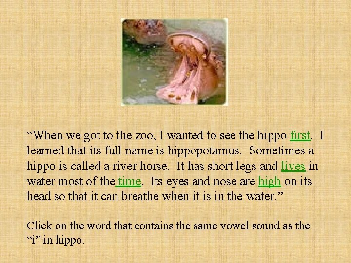 “When we got to the zoo, I wanted to see the hippo first. I