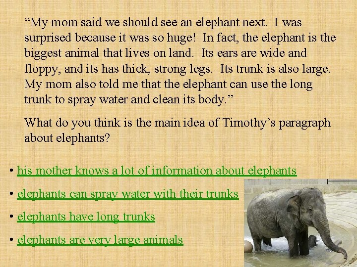“My mom said we should see an elephant next. I was surprised because it