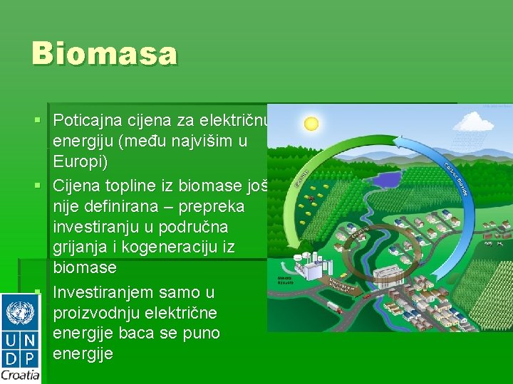 Biomasa § Poticajna cijena za električnu energiju (među najvišim u Europi) § Cijena topline