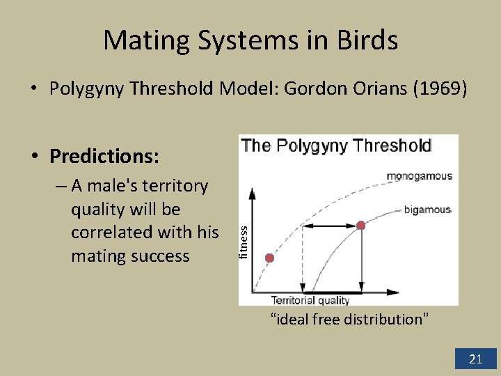 Mating Systems in Birds • Polygyny Threshold Model: Gordon Orians (1969) – A male's Mating Systems in Birds • Polygyny Threshold Model: Gordon Orians (1969) – A male's
