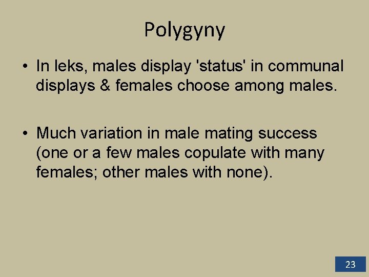 Polygyny • In leks, males display 'status' in communal displays & females choose among Polygyny • In leks, males display 'status' in communal displays & females choose among