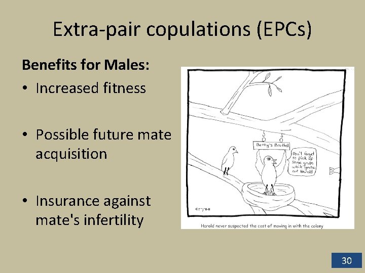 Extra-pair copulations (EPCs) Benefits for Males: • Increased fitness • Possible future mate acquisition Extra-pair copulations (EPCs) Benefits for Males: • Increased fitness • Possible future mate acquisition