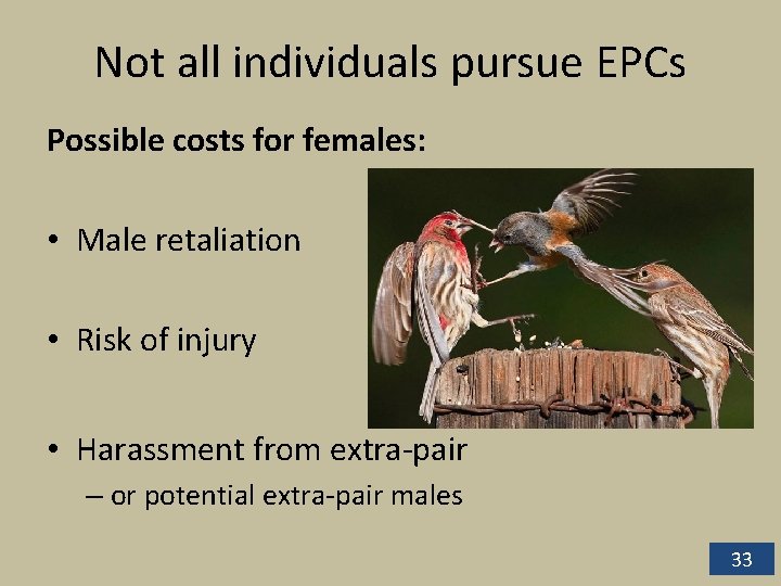 Not all individuals pursue EPCs Possible costs for females: • Male retaliation • Risk Not all individuals pursue EPCs Possible costs for females: • Male retaliation • Risk
