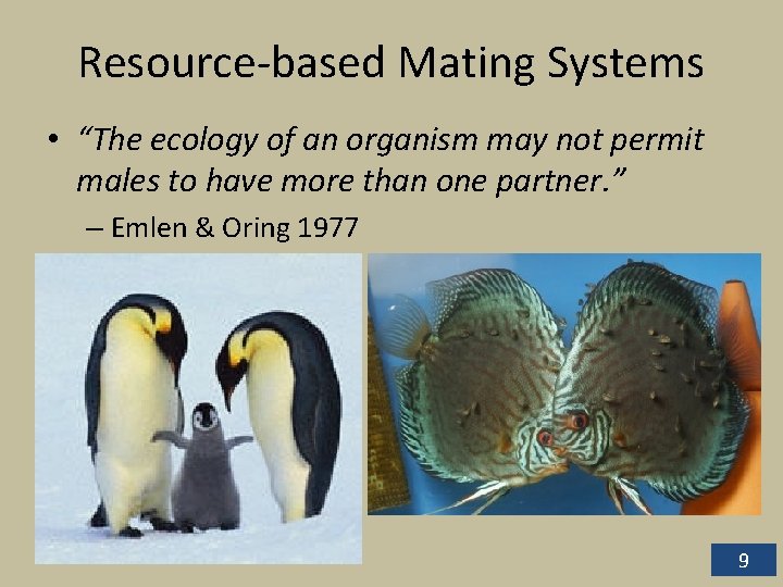 Resource-based Mating Systems • “The ecology of an organism may not permit males to Resource-based Mating Systems • “The ecology of an organism may not permit males to