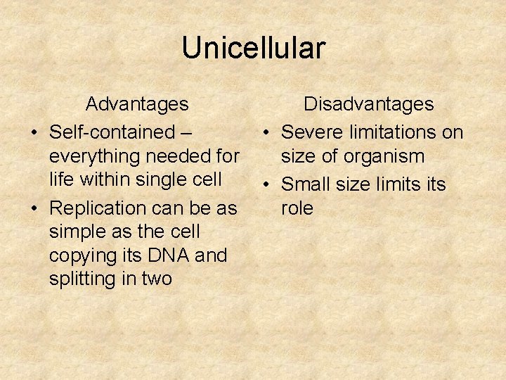 Unicellular Advantages • Self-contained – everything needed for life within single cell • Replication